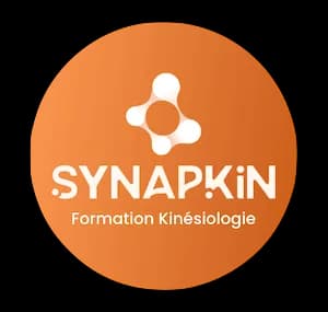 Logo of SYNAPKIN, the training body for kinesiology