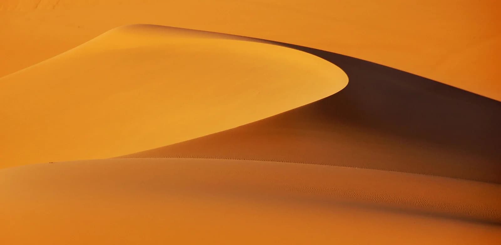 Une dune de sable orange en gros plan, sa crête traversant l’image en diagonale
