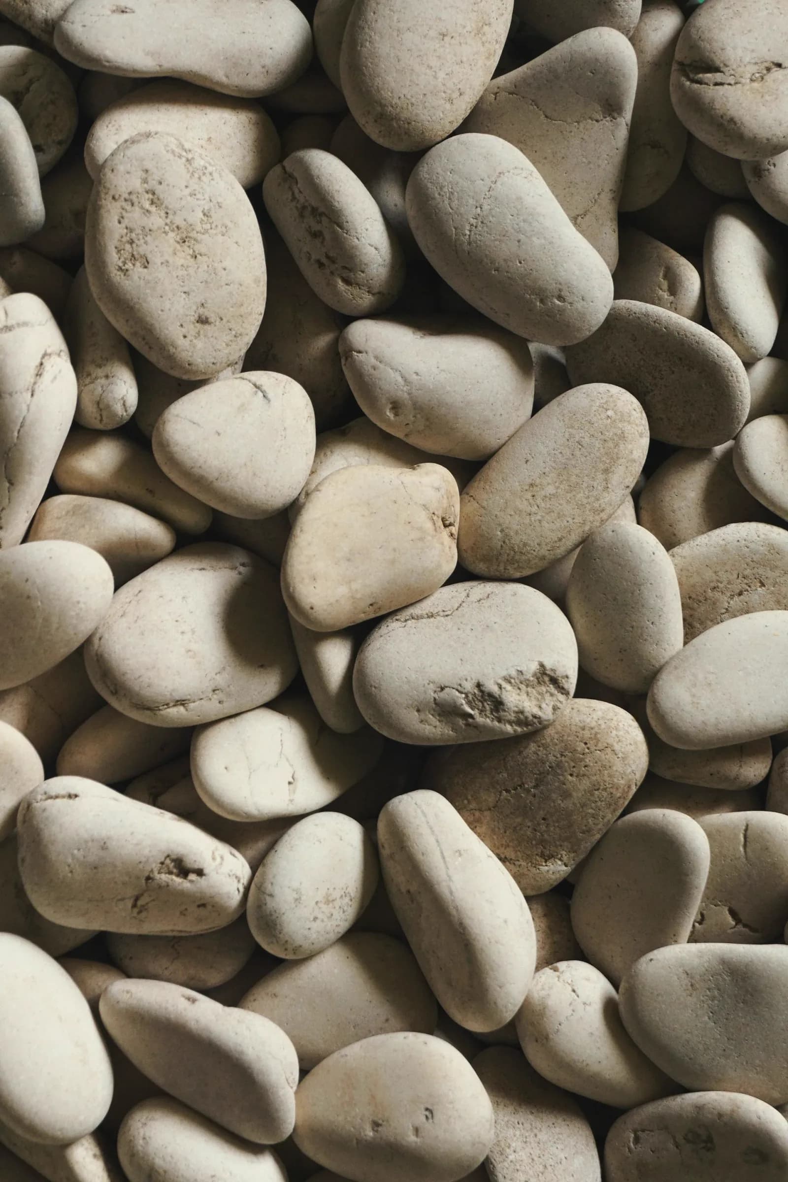Pebbles set down side by side, in a soft light