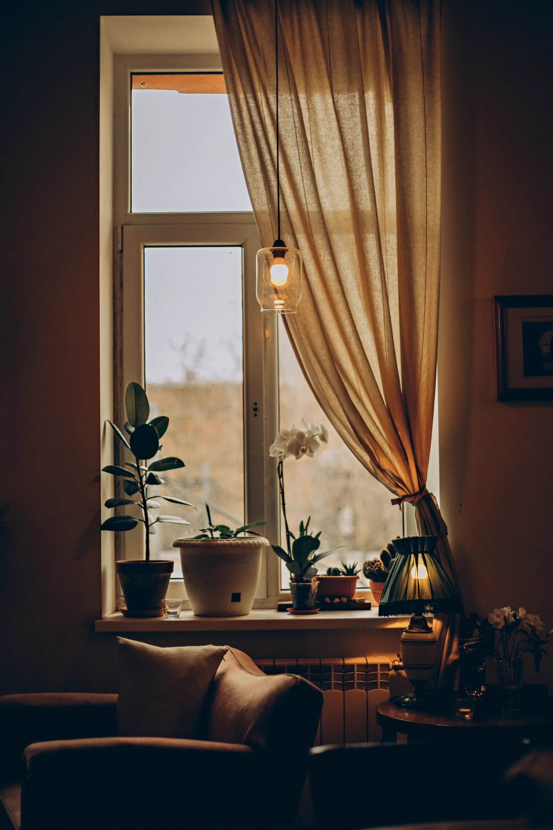 A sitting corner with an armchair, plants on the windowsill and a lamp lit at the end of the day